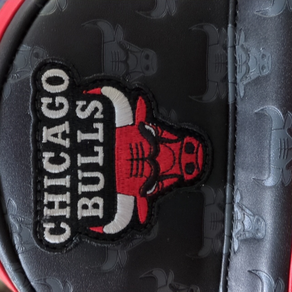 NWT Chicago Bulls Mini Backpack - Picture 6 of 7